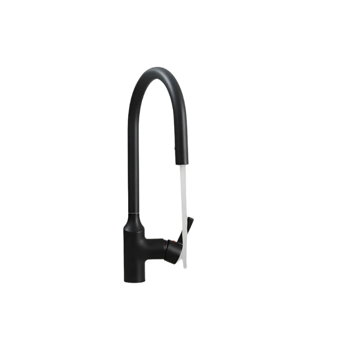 Stealth Flow Pull Out Kitchen Faucet