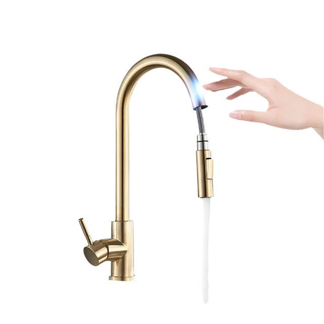 Modern Touch Kitchen Faucet