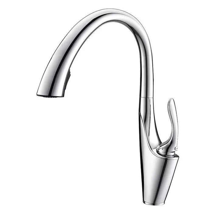 Pull Out Kitchen Sink Faucet - DuoFaucets Product Image