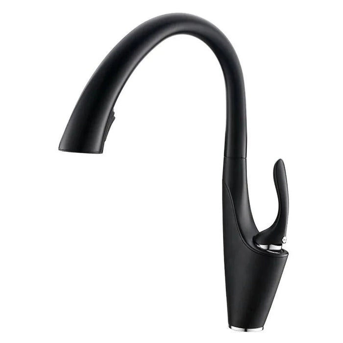 Pull Out Kitchen Sink Faucet - DuoFaucets Product Image