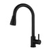 Retractable Spout Kitchen Faucets - DuoFaucets Product Image