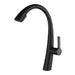 Pullout Kitchen Faucet - DuoFaucets Product