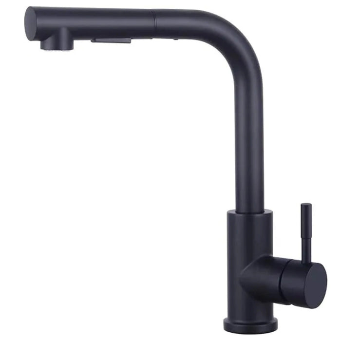 Black Pull Out Kitchen Sink Faucet