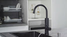 Instant Water Heater Kitchen Faucet - DuoFaucets Product Video